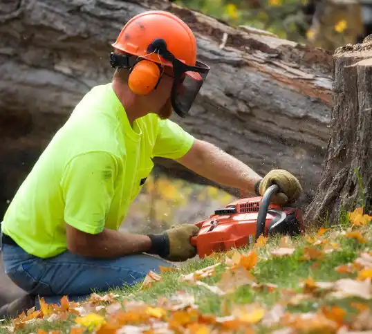 tree services West Hill